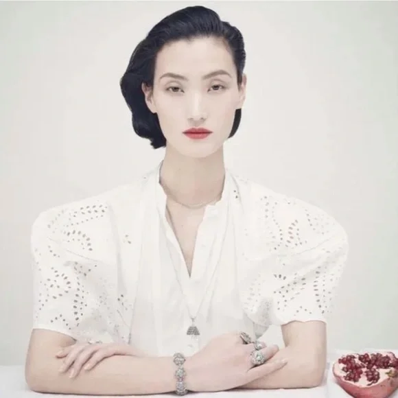 ZARA NWT LIMITED EDITION EMBROIDERED POPLIN DRESS OYSTER WHITE SIZE S